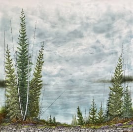 Brenda Walker - Luminous Mist